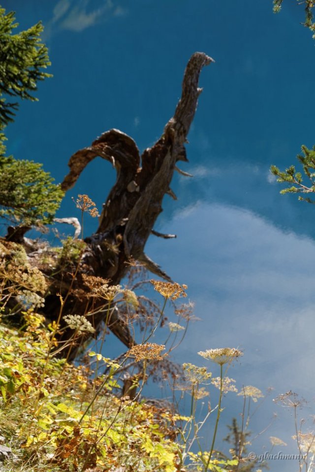 20140928_080
